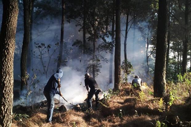 Ini Trik Tim Gabungan untuk Kurangi Area yang Terbakar di TNGC