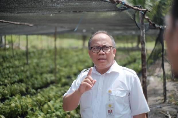Peluang Besar Kakao Indonesia Rambah Pasar Uni Eropa