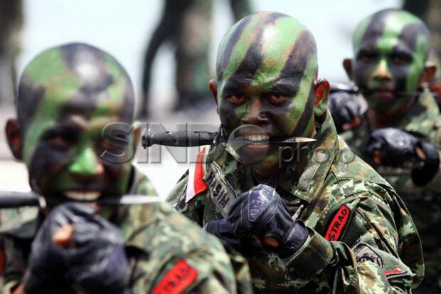 TNI Dinilai Perlu Dilibatkan Amankan Infrastruktur Kelistrikan