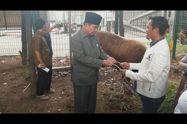 Partai Perindo Serahkan Hewan Kurban ke Masjid Istiqlal