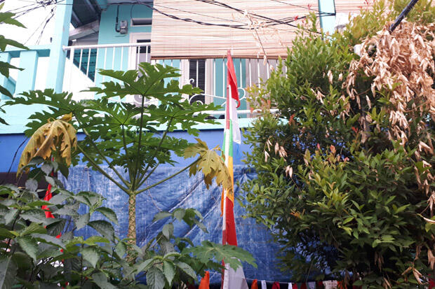BNN Intai Kurir Ganja 240 Kg di Kramat Jati Selama Tiga Hari