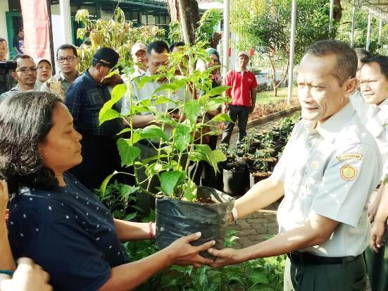 BKP Kementan Canangkan Gerakan Tanam Cabai di Pekarangan Secara Nasional