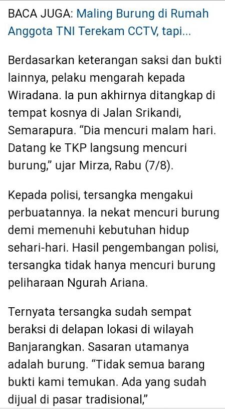 Manusia Ini lihay, Banyak Burung Yang Menjadi Korban
