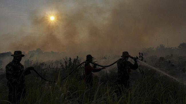 Polda Riau Tetapkan Perusahaan Sawit Tersangka Karhutla
