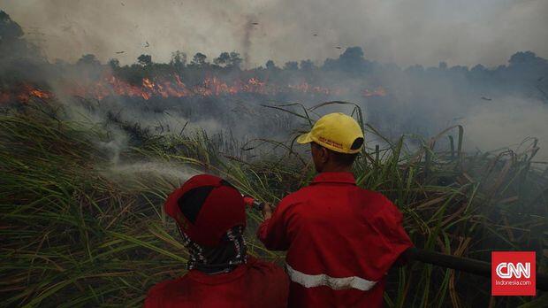 Polda Riau Tetapkan Perusahaan Sawit Tersangka Karhutla