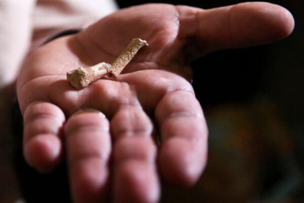 Spesies Manusia Purba Baru, 9 Fakta Menarik Homo Iuzonensis