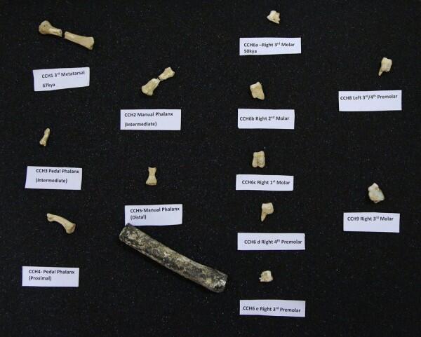 Spesies Manusia Purba Baru, 9 Fakta Menarik Homo Iuzonensis