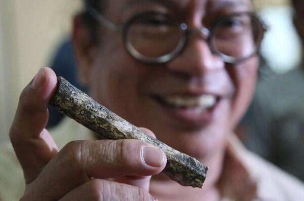 Spesies Manusia Purba Baru, 9 Fakta Menarik Homo Iuzonensis