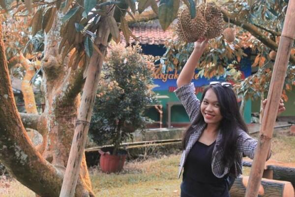6 Daerah Penghasil Durian Terenak di Pulau Jawa, Makan Sampai Mblenger
