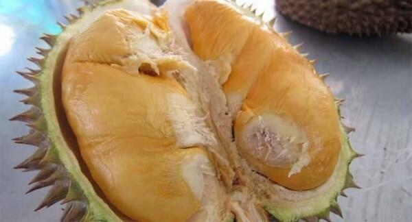6 Daerah Penghasil Durian Terenak di Pulau Jawa, Makan Sampai Mblenger