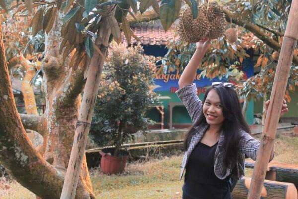 6 Daerah Penghasil Durian Terenak di Pulau Jawa, Makan Sampai Mblenger