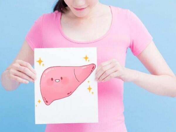 5 Fakta Menarik Organ Hati Manusia, Bisa Regenerasi Sendiri Lho