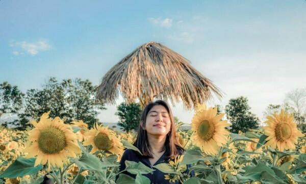 Bikin Gak Mau Pulang! 9 Potret Cantiknya Jiwan's Garden di Kupang, NTT