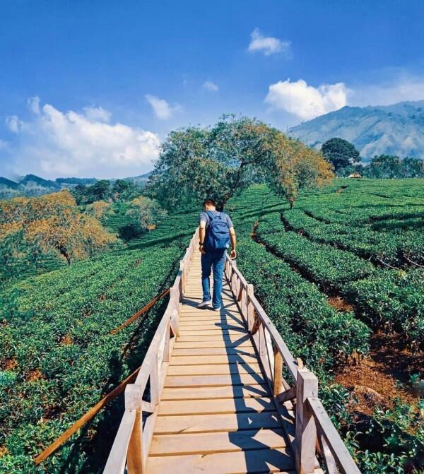 5 Tempat Wisata Seru di Malang yang Bisa Kamu Kunjungi Dalam Sehari