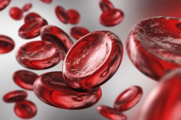 7 Cara Tingkatkan Kadar Hemoglobin dalam Darah, Jangan Sampai Pingsan