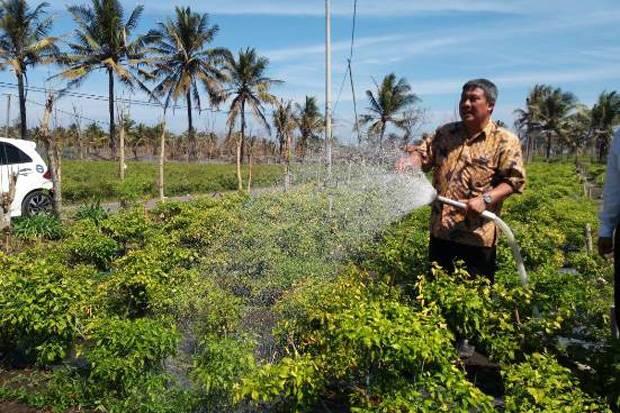 Presiden Terkesan Kemajuan Mekanisasi Pertanian Indonesia