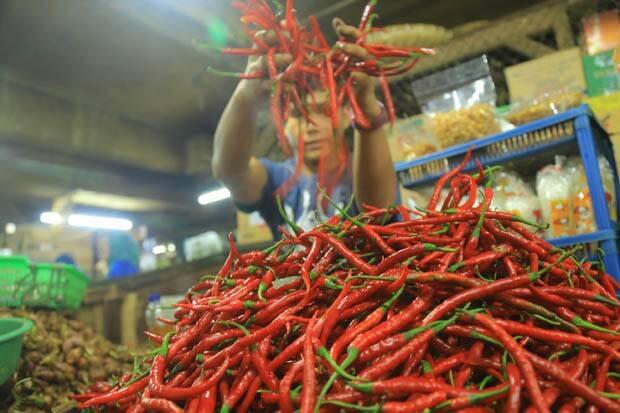 Harga Cabai Melonjak, Dinas KPKP DKI: Daerah Produsen Belum Panen