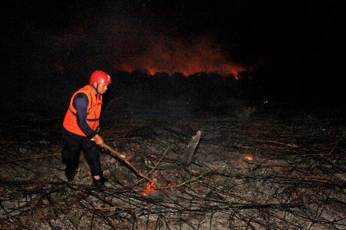Status korporasi tersangka pembakar hutan perlu diseriusi
