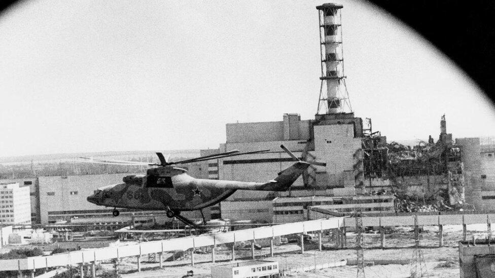 Bencana Chernobyl: Mengapa Tumbuhan Tahan Terhadap Radiasi Nuklir?