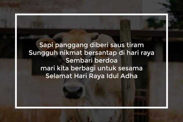 Bingung Kirim Ucapan Selamat Iduladha? Sontek yang Ini Saja