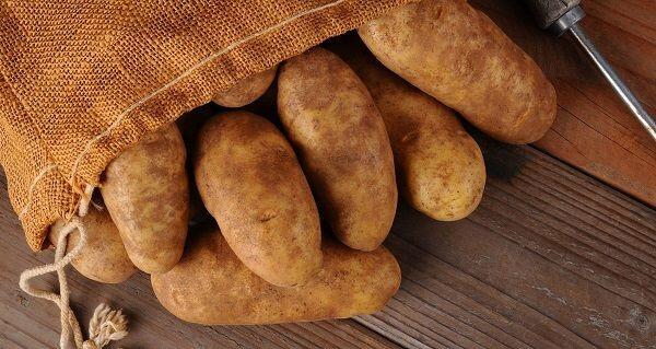 10 Bahan Makanan yang Bisa Diolah Jadi Apa Saja, Wajib Ada di Dapur!