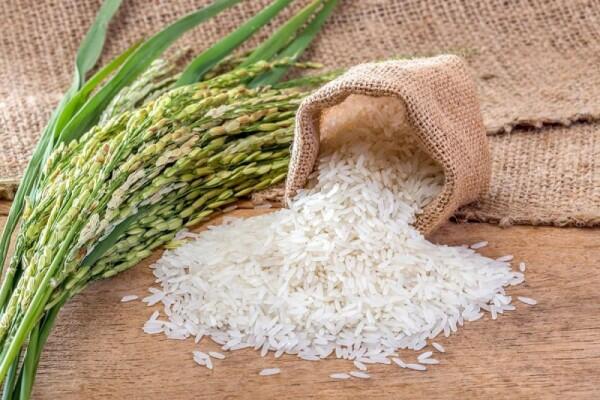 10 Bahan Makanan yang Bisa Diolah Jadi Apa Saja, Wajib Ada di Dapur!