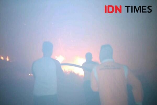 Sebaran Asap Makin Meluas, Kualitas Udara Pekanbaru Menurun