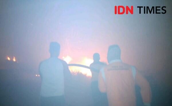 Sebaran Asap Makin Meluas, Kualitas Udara Pekanbaru Menurun