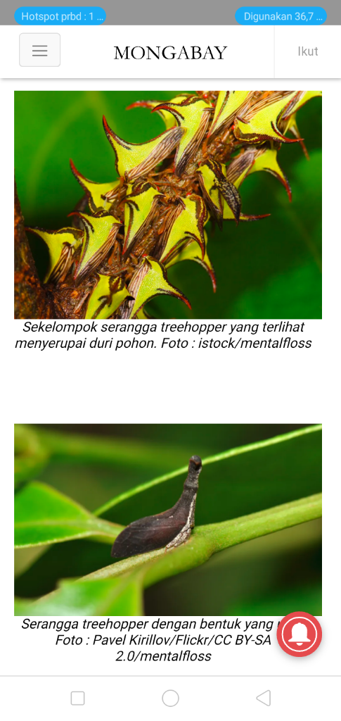 Unik Dan Menarik, Aku Terpesona Tidak Percaya Kau Ada