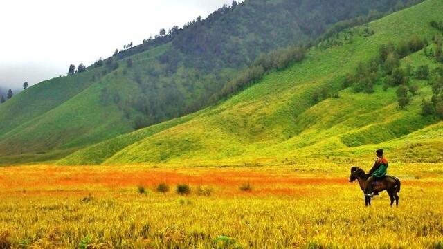 4 Wisata Yang Membuat Saya Bangga Terhadap Indonesia (Probolinggo)