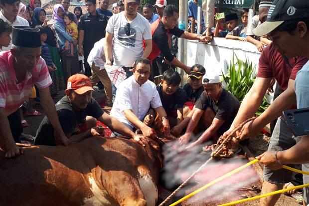 Gubernur Anies Baswedan Sembelih Hewan Kurban di Cilandak