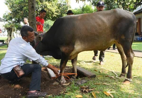 Pelaksanaan Kurban di Rumah Dinas Gubernur Jabar