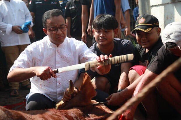 Anies Beberkan Sudah sejak SMA Terbiasa Sembelih Hewan Kurban
