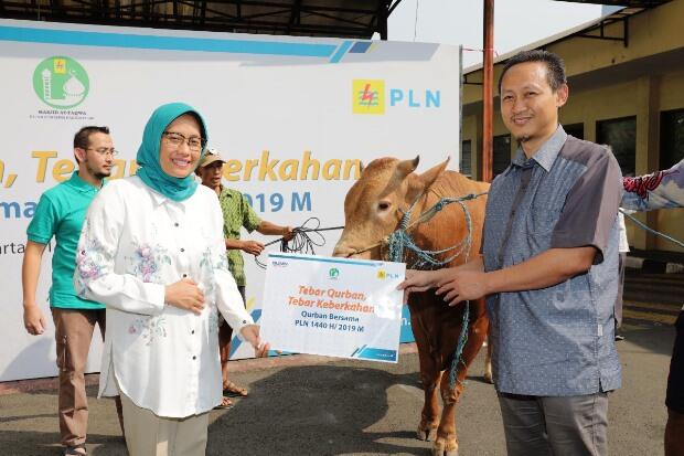 Plt Dirut PLN Saksikan Penyembelihan 51 Hewan Kurban