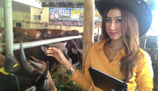 Banyak yang Berkurban, BI: Bisa Turunkan Harga Daging