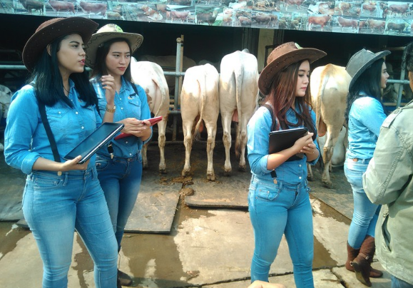 Banyak yang Berkurban, BI: Bisa Turunkan Harga Daging