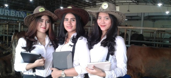 Banyak yang Berkurban, BI: Bisa Turunkan Harga Daging