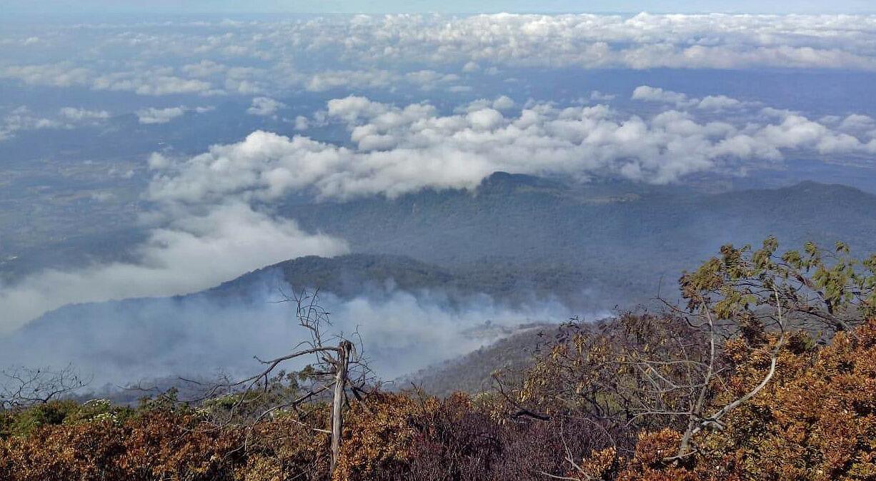 Pemadaman Kebakaran Gunung Ciremai Terus Dilakukan