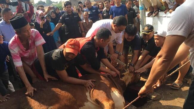 Anies Ungkap Alasan Turun Tangan Langsung Sembelih Hewan Kurban