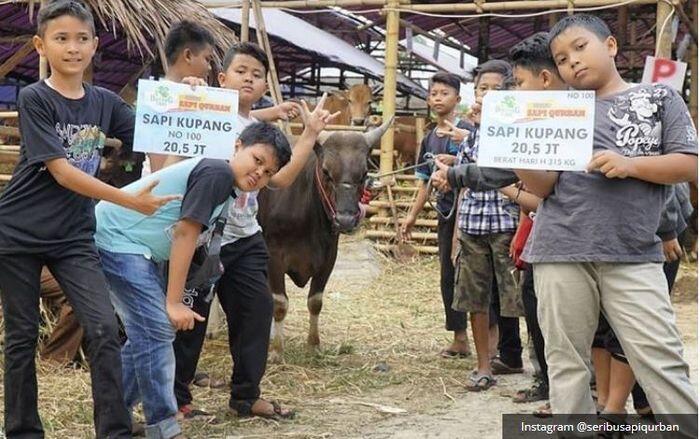 Kisah Mereka Yang BerQurban Di Tengah Keterbatasan