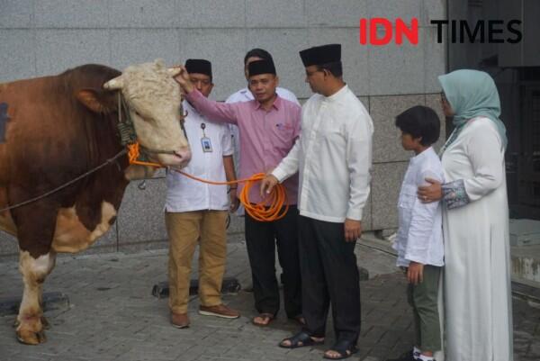 Anies: Ratusan Hewan Kurban di Jakarta Ditemukan Sakit