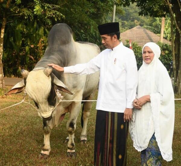 Rayakan Idul Adha, 10 Publik Figur Ini Foto Bareng Hewan Kurbannya