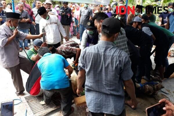 Sapi Kurban Jokowi di Gunungkidul Lukai Warga saat Hendak Disembelih