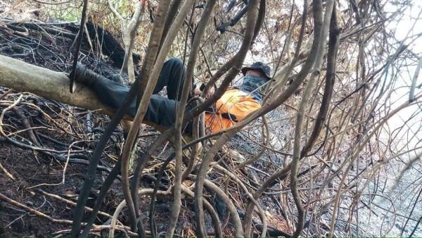 Dampak Kebakaran Hutan, Iduladha di Pekanbaru Diselimuti Asap