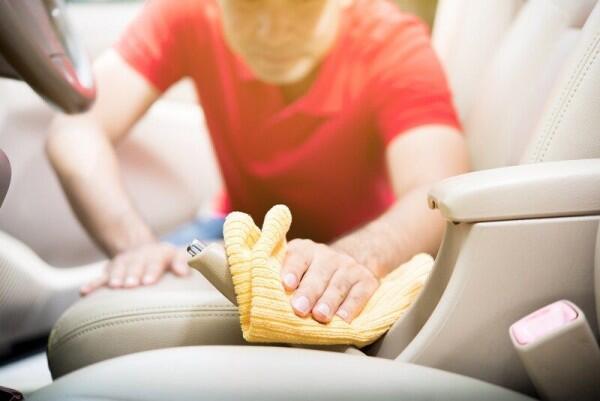 5 Tips Merawat Kabin Mobil Agar Tidak Dihuni Banyak Serangga
