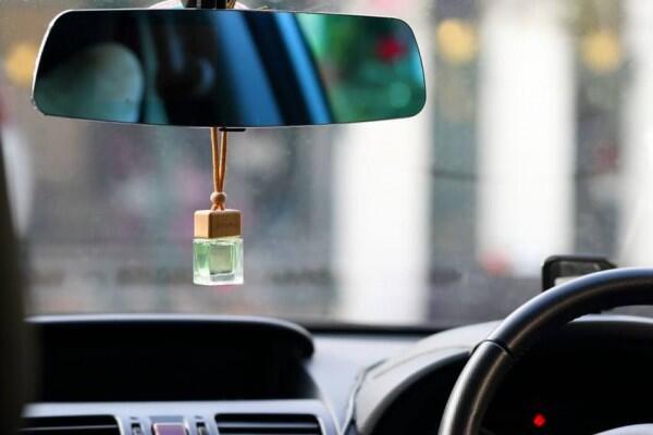 5 Tips Merawat Kabin Mobil Agar Tidak Dihuni Banyak Serangga