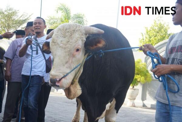 Ditanya Soal Hewan Kurban, Jokowi: Tanyakan pada Sapinya