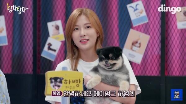 Debut Solo, Ini 10 Fakta Hayoung Apink yang Menawan!