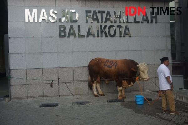 Daging Kurban Diolah Chef Hotel, Anies: Manfaatnya Lebih Panjang