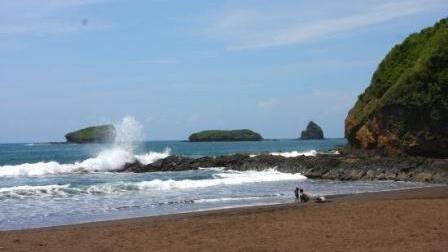 Empat Alasan Saya Suka Sekali Dengan Bangsa Indonesia (Jember)